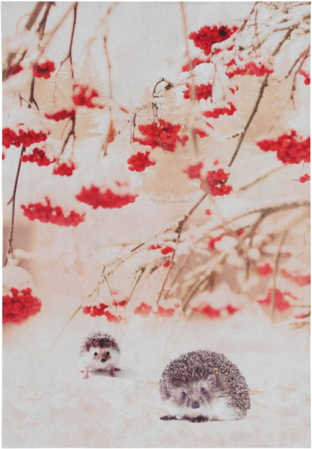 bonprix Wasbaar vloerkleed met schattig motief