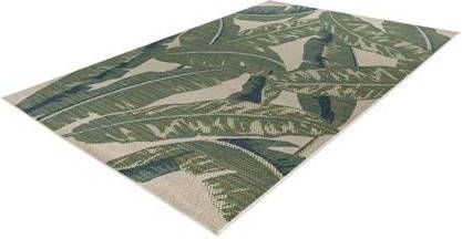 Lalee Capri 240 x 330 cm Vloerkleed Groen