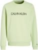 Calvin Klein Groene Trui Institutional Logo Sweatshirt online kopen