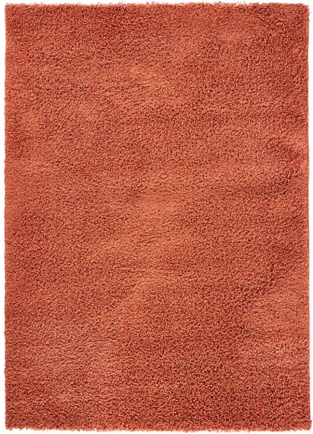 KLiNGEL Vloerkleed Friedrich Terracotta