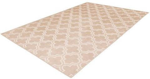 aRTE ESPINA Vloerkleed Monroe 100 bijzonder zacht door microvezel, woonkamer