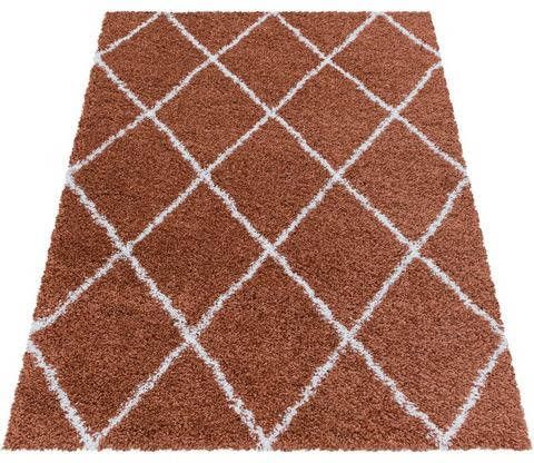 Ayyildiz Teppiche Hoogpolig vloerkleed ALVOR 3401 Woonkamer