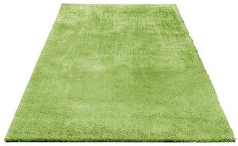 Bruno Banani Hoogpolig vloerkleed DANA bijzonder zacht door microvezel, woonkamer