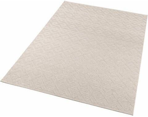 HANSE Home Vloerkleed ALLEY Platweefsel geschikt voor binnen en buiten, reliëfstructuur, macramé look, balkon, terras, woonkamer, robuust, gemakkelijk in onderhoud