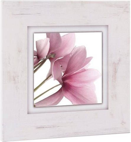 Home affaire Artprint op hout Roze viooltje 40/40 cm