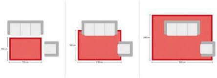 Home affaire Vloerkleed Fanoos Tweezijdig te gebruiken kleed, woonkamer
