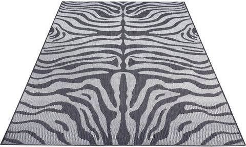 Home affaire Vloerkleed Zadie Geschikt voor binnen en buiten, zebra design, woonkamer, balkon, terras, tuin, robuust, gemakkelijk in onderhoud, platweefsel