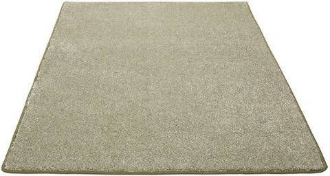 Living Line Vloerkleed Euphoria Lange pool, zachte shaggy, ideaal in de woonkamer & slaapkamer