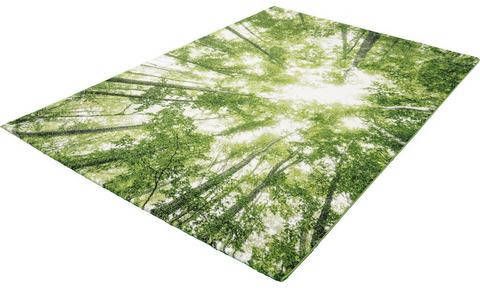 Merinos Bomen Desing Vloerkleed Belis 22103 40 Groen 80x150 cm