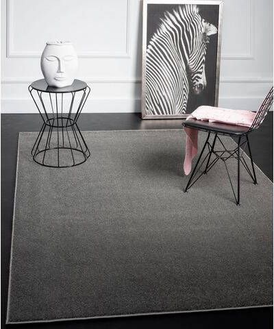 Merinos Vloerkleed Montana Grijs 80 x 150 cm